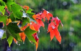 雨终于来了！未来三天陕西省大范围降水缩略图