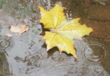 阵雨，中雨，局地强降水，未来3天汉中市天气→缩略图