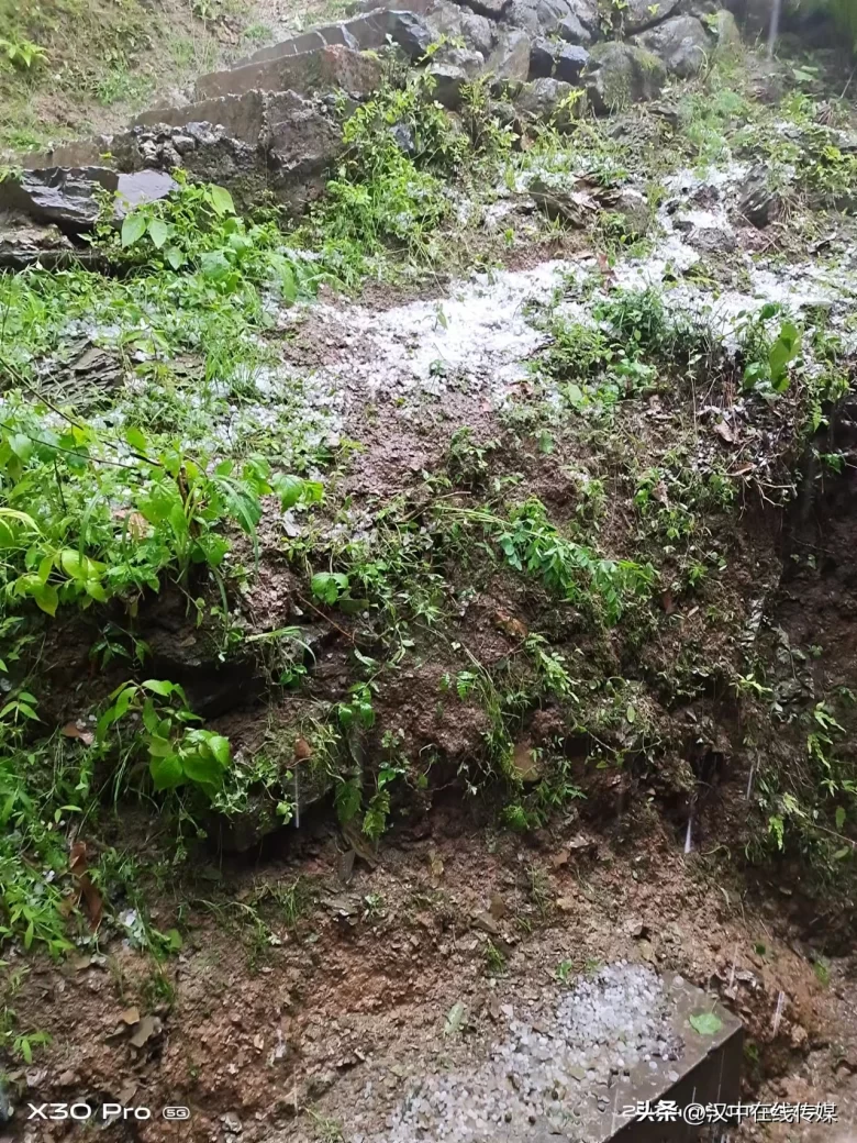 5月7日，汉中市宁强县突降暴雨及冰雹部分区域庄稼受损严重插图1