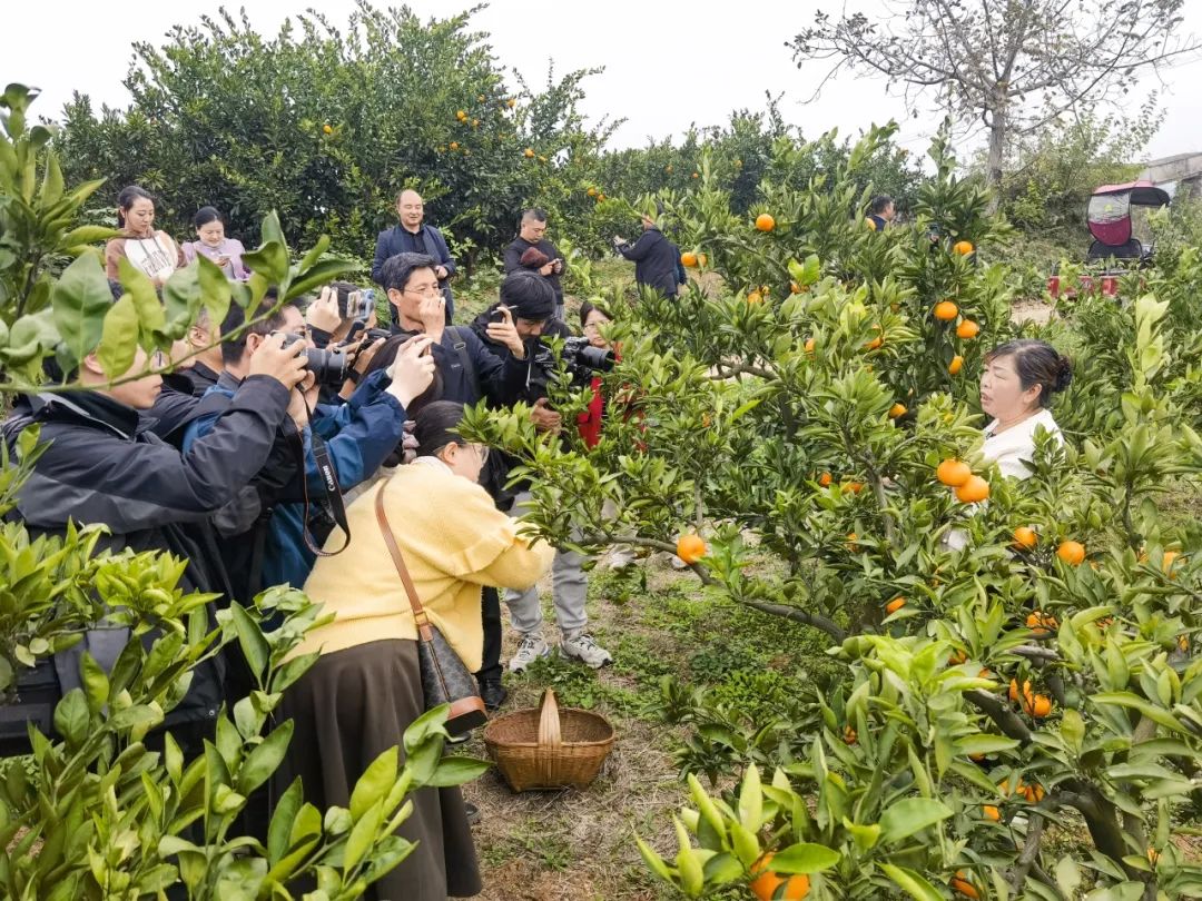 汉中网信开展网络宣传培训暨记者节系列活动