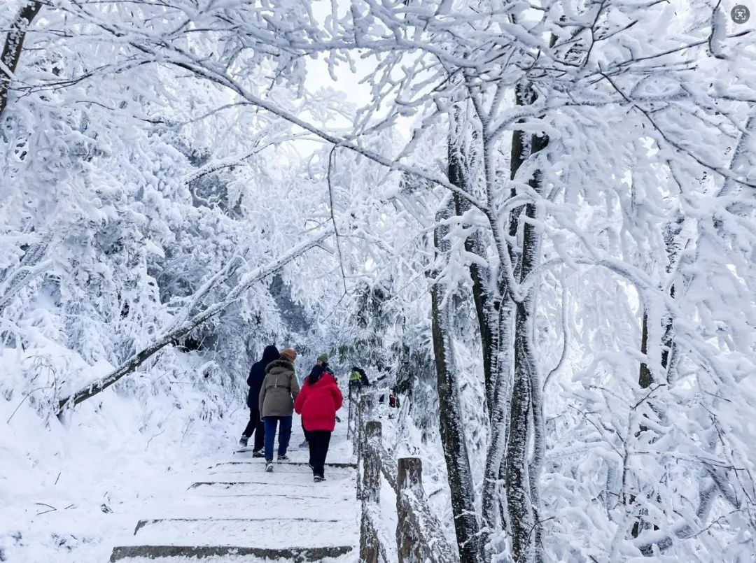 2024汉江源冰雪旅游季抖音大赛等你来挑战！