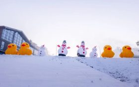 2月1日陕西中南部有雨雪天气 出行注意安全缩略图